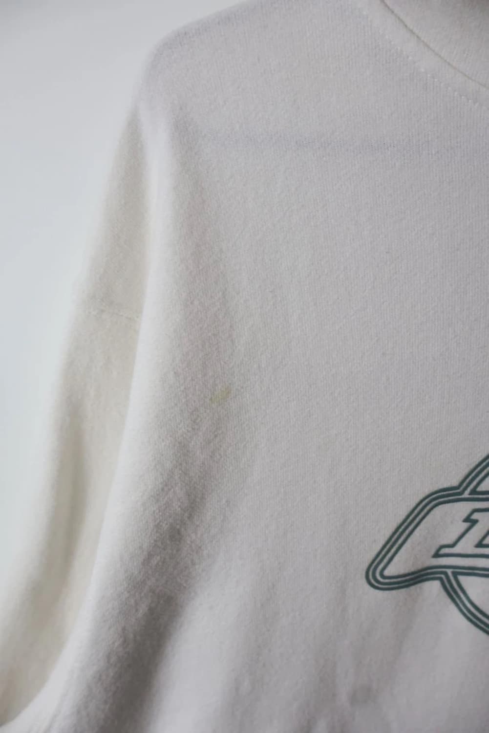 Dickies Logo Hoodie Ivory 상품이미지5