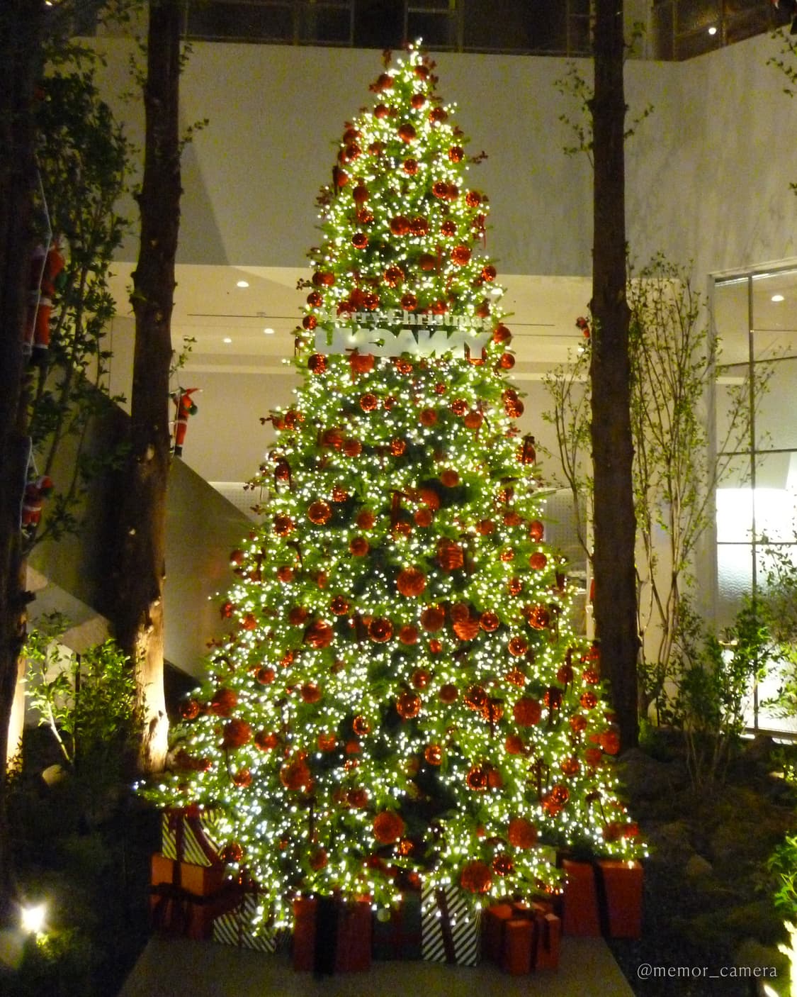 인기/노란기없는뽀용작례🎀Panasonic LUMIX DMC-S1 디카 상품이미지10