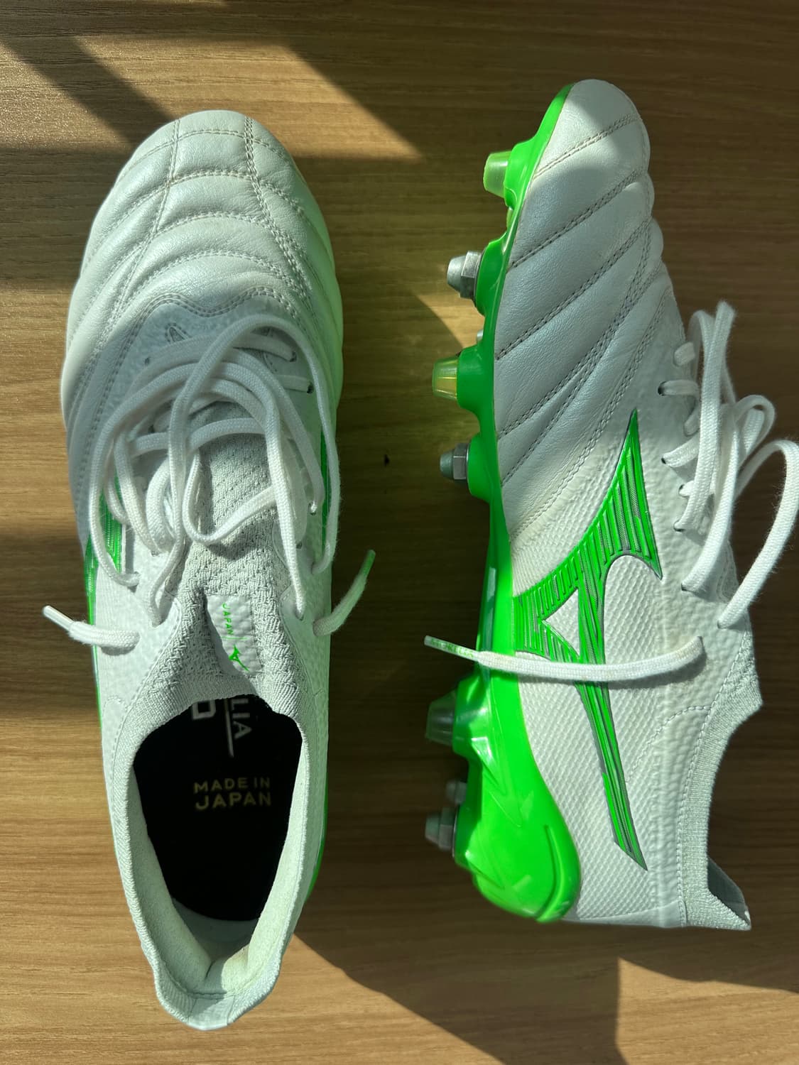 모렐리아 네오  상품이미지3