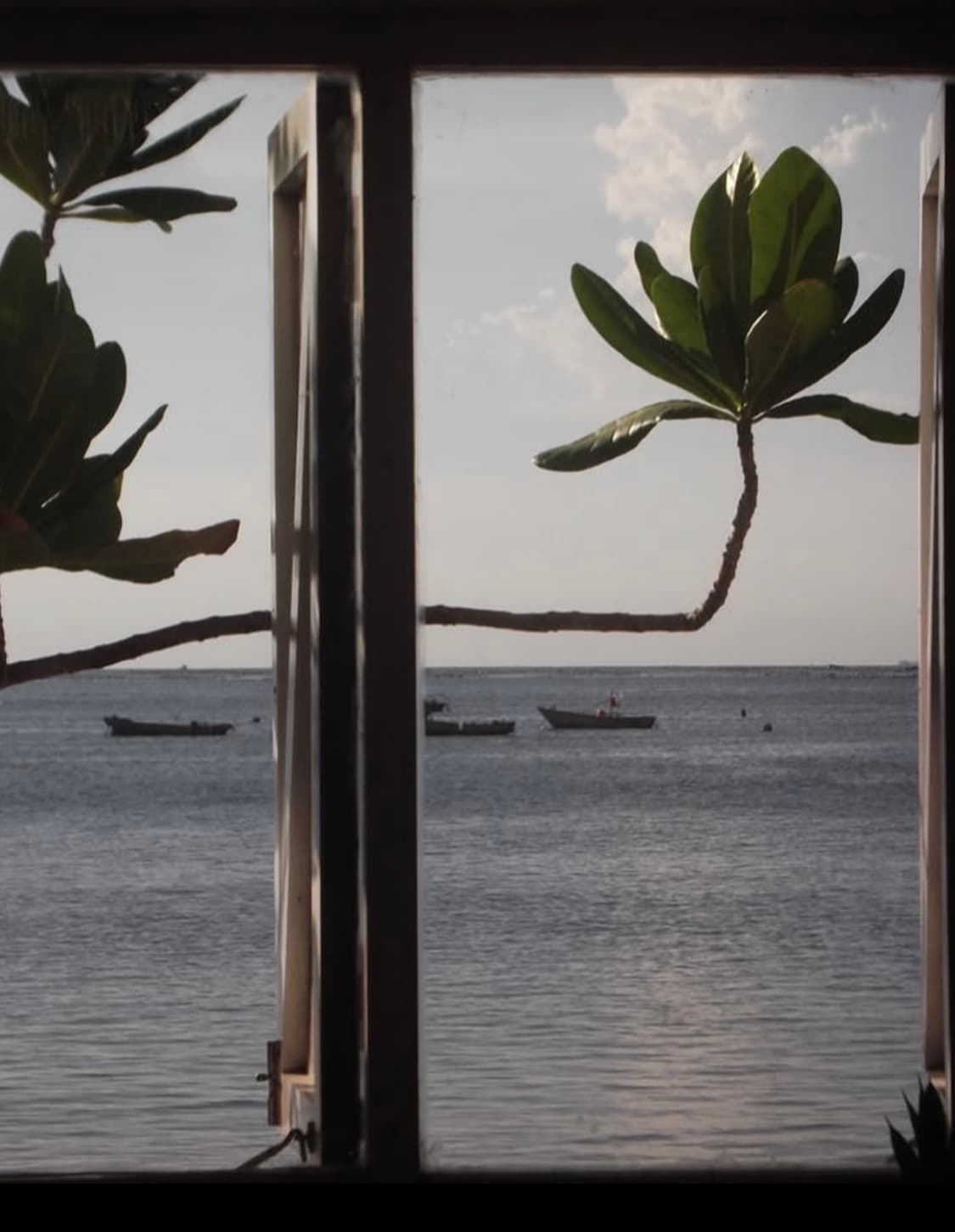 후지필름 파인픽스 JX500 디카 디지털카메라 상품이미지4