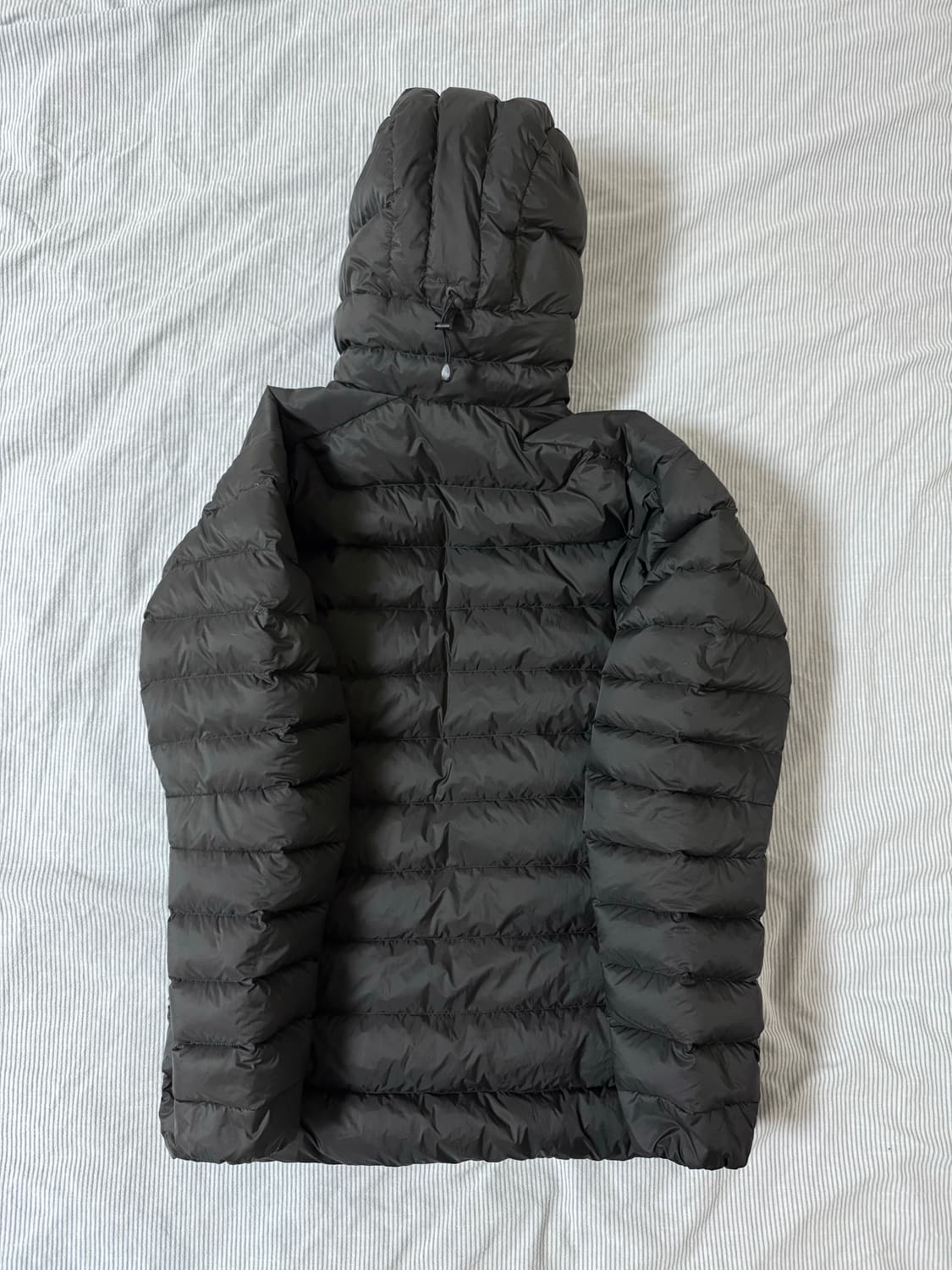 (S급) 아크테릭스 세륨 후디 블랙 M 상품이미지3