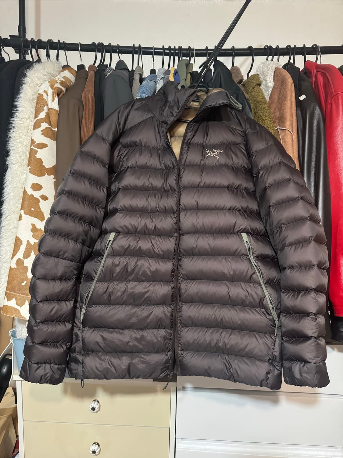 아크테릭스 세륨 후디 L 비터스 상품이미지1