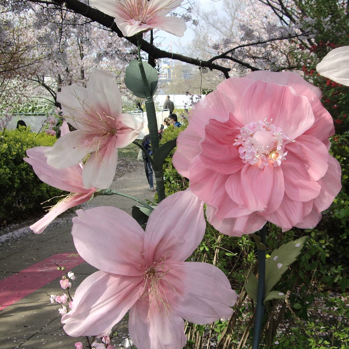 펜탁스 옵티오 A10(작례O) 상품이미지8