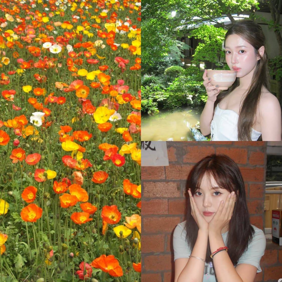 후지필름 파인픽스 JX500 실버 ✨ 깔끔한 입문용 감성디카 💕
 상품이미지4