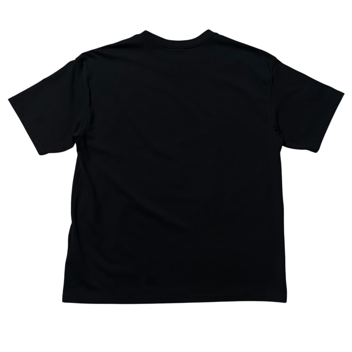 25ss 나이키 ACG 이구아나 반팔 티셔츠 블랙 상품이미지3