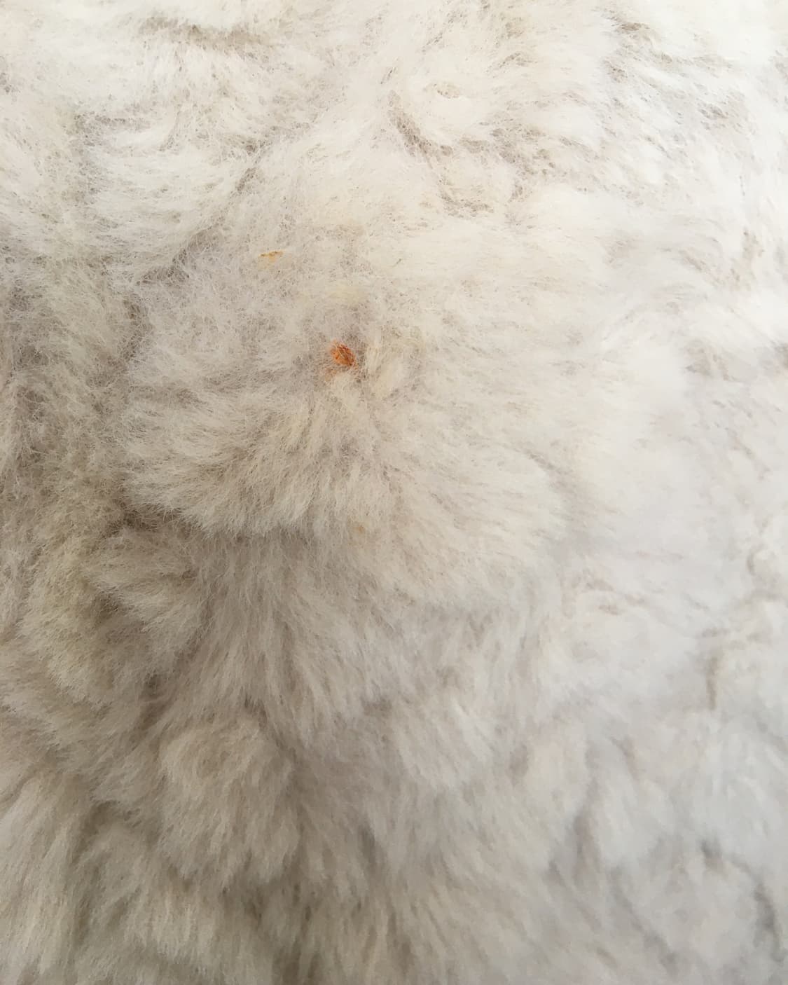 Layer point long skirt 상품이미지2