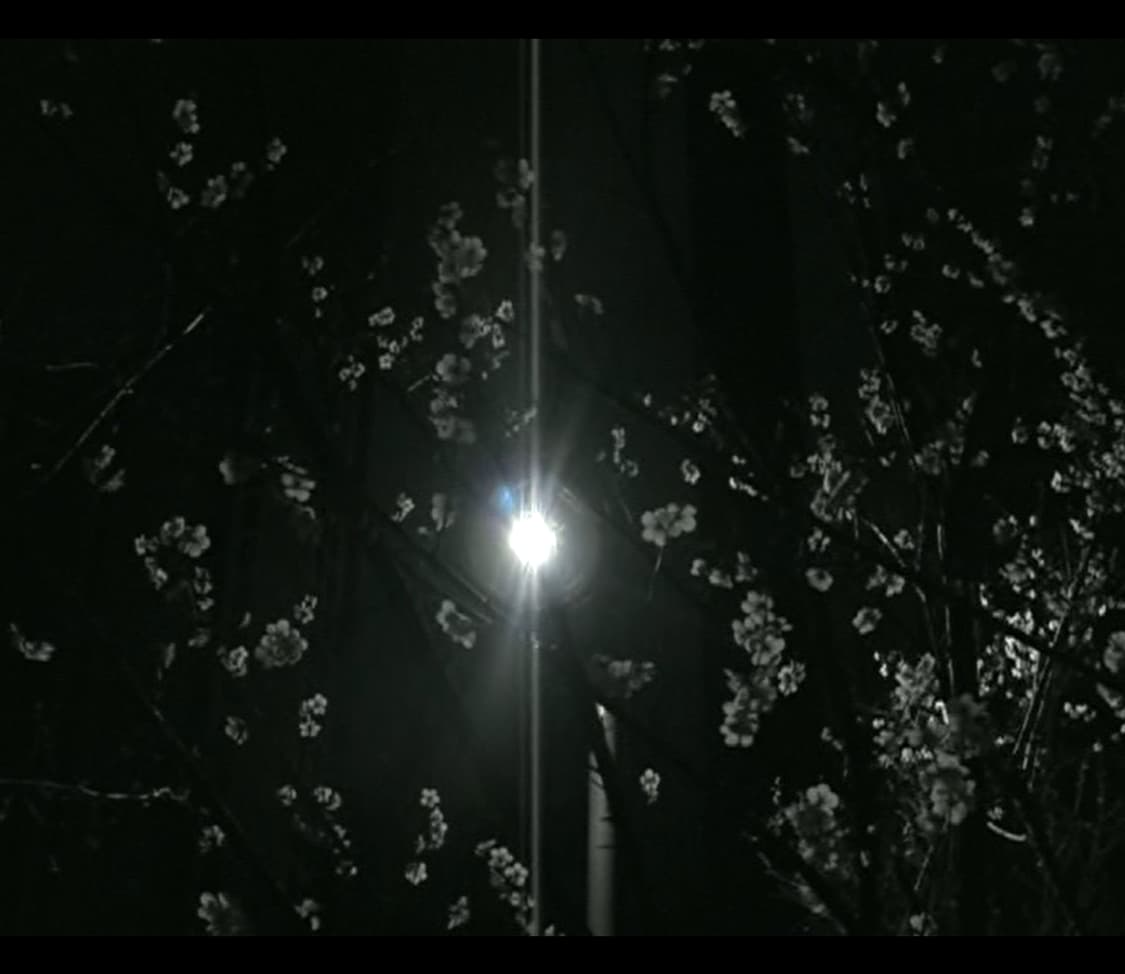 (희귀) 빈티지 디카 캠코더 빅터 GZ-MC100 /작례 있음 상품이미지10