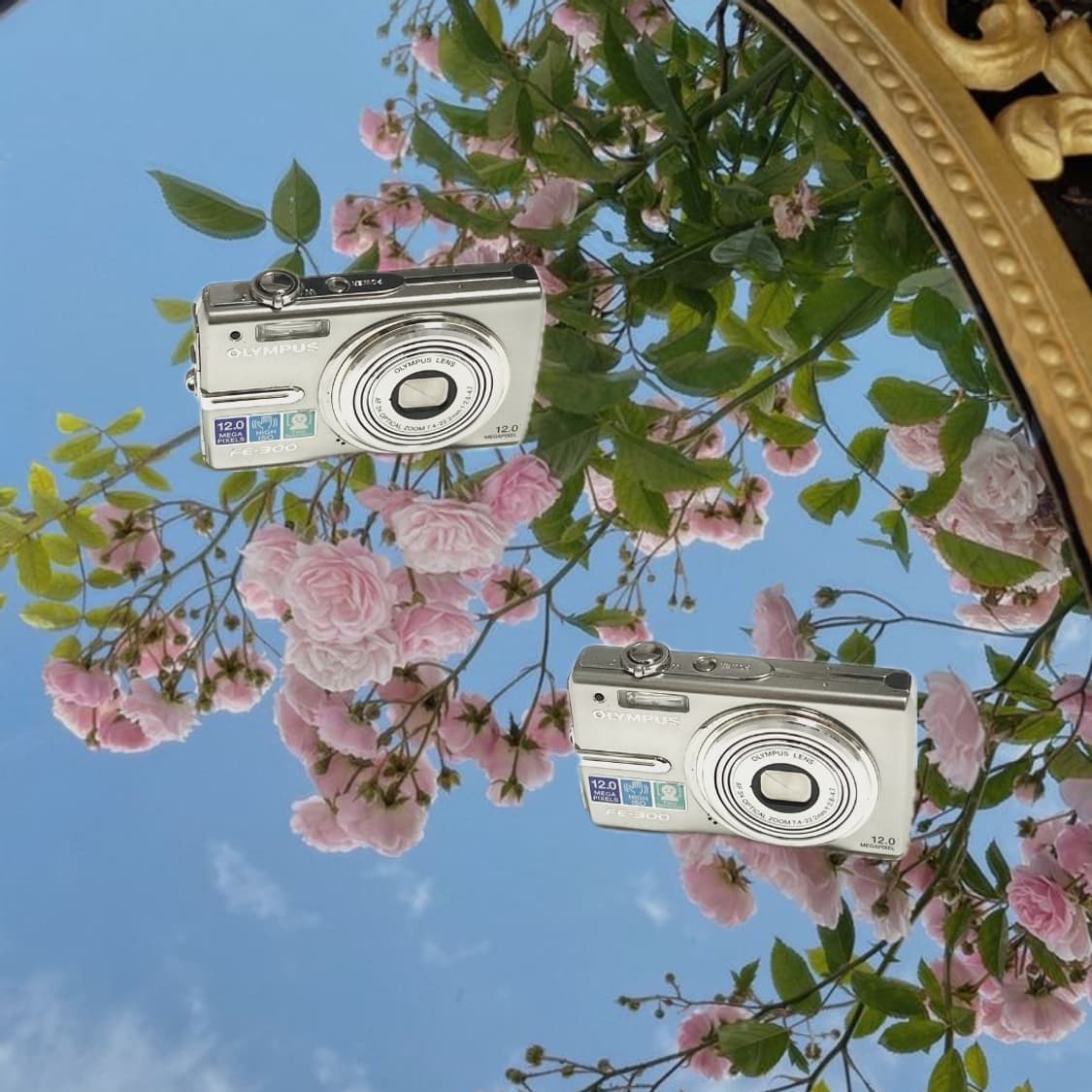 Olympus FE-300 디카 캠코더 상품이미지1