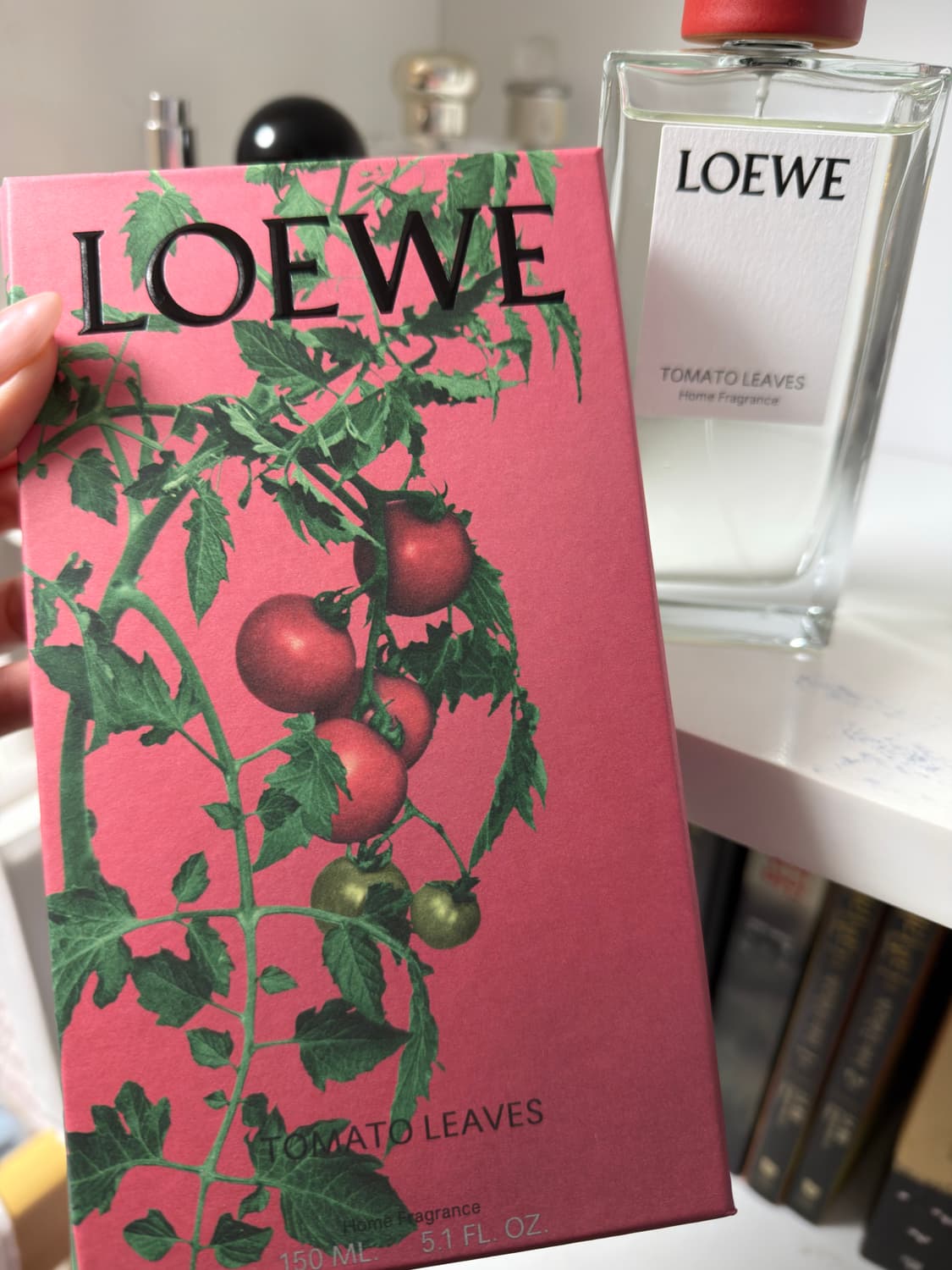 로에베 토마토 잎 홈 프래그랜스 상품이미지2
