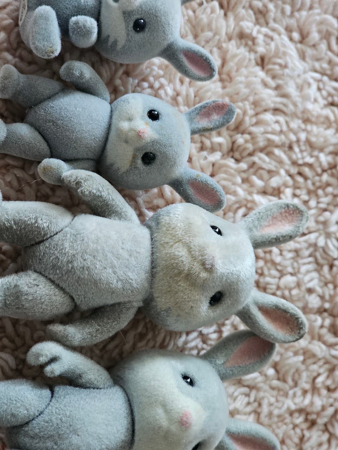 실바니안 패밀리 회색토끼(솜토끼) 판매합니다 상품이미지3