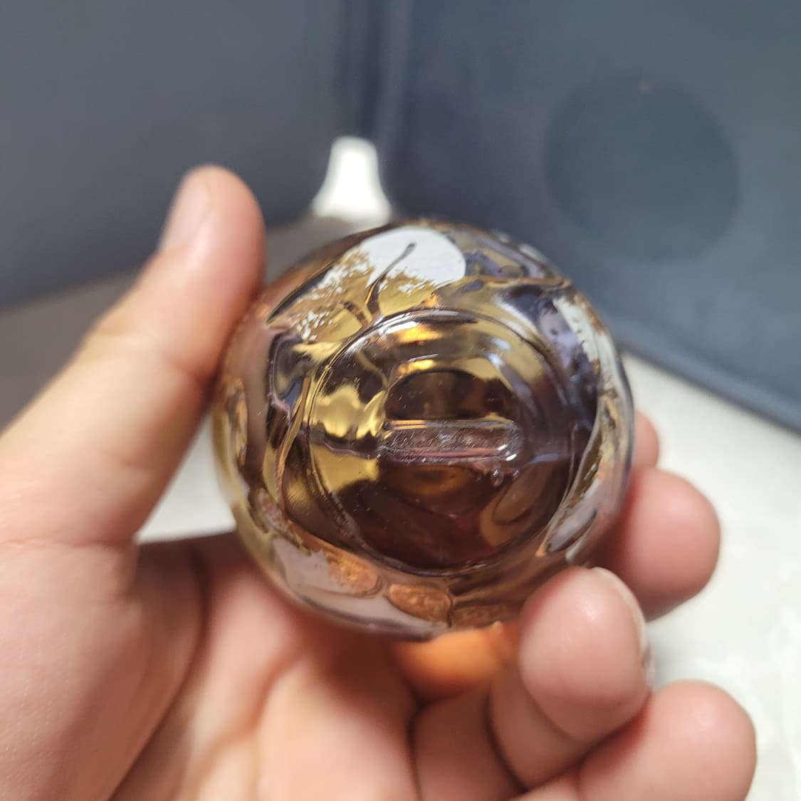 롤리타렘피카 30ml (4) 상품이미지5