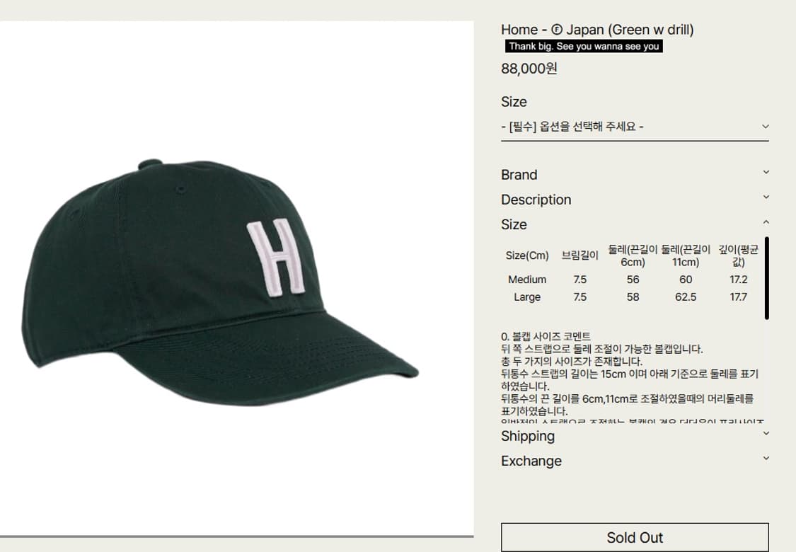 tef stores 테프스토어즈 볼캡 L Home Japan green 상품이미지7