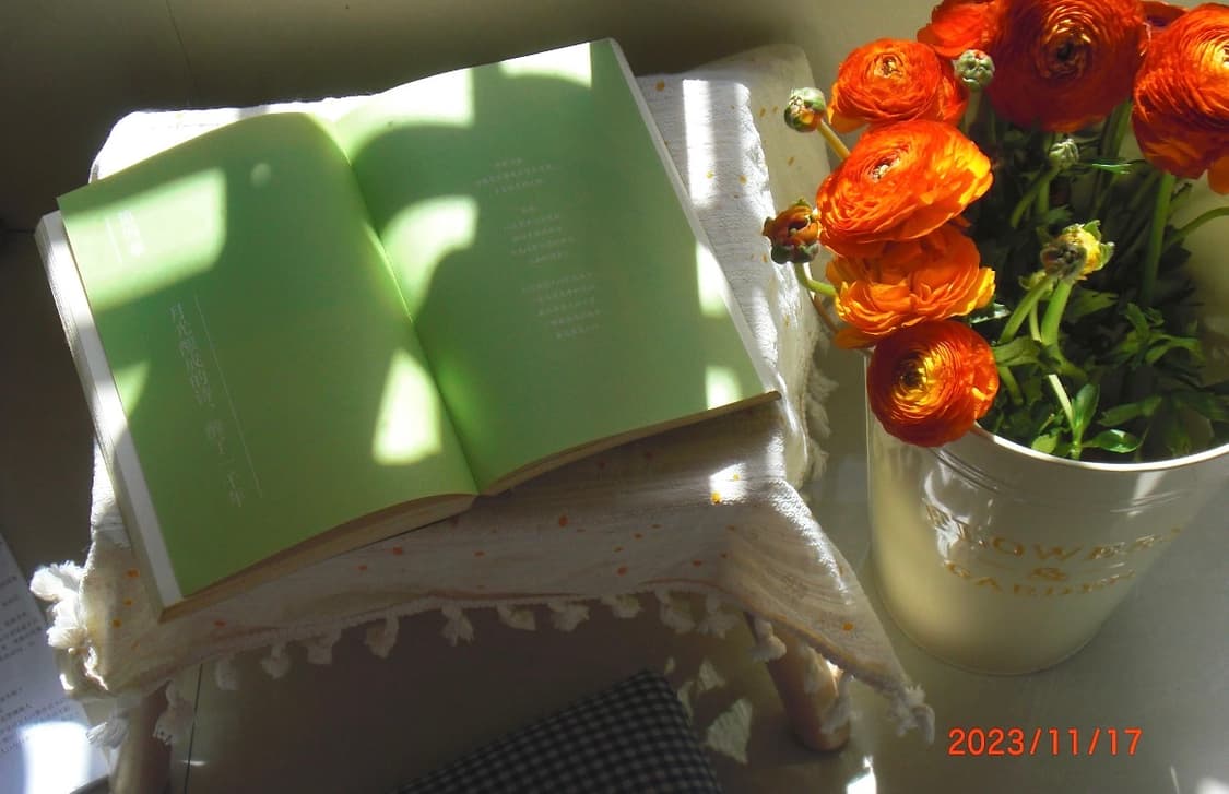 카시오 엑슬림 z80 CASIO EXILIM Z80 빈티지 디카 상품이미지3