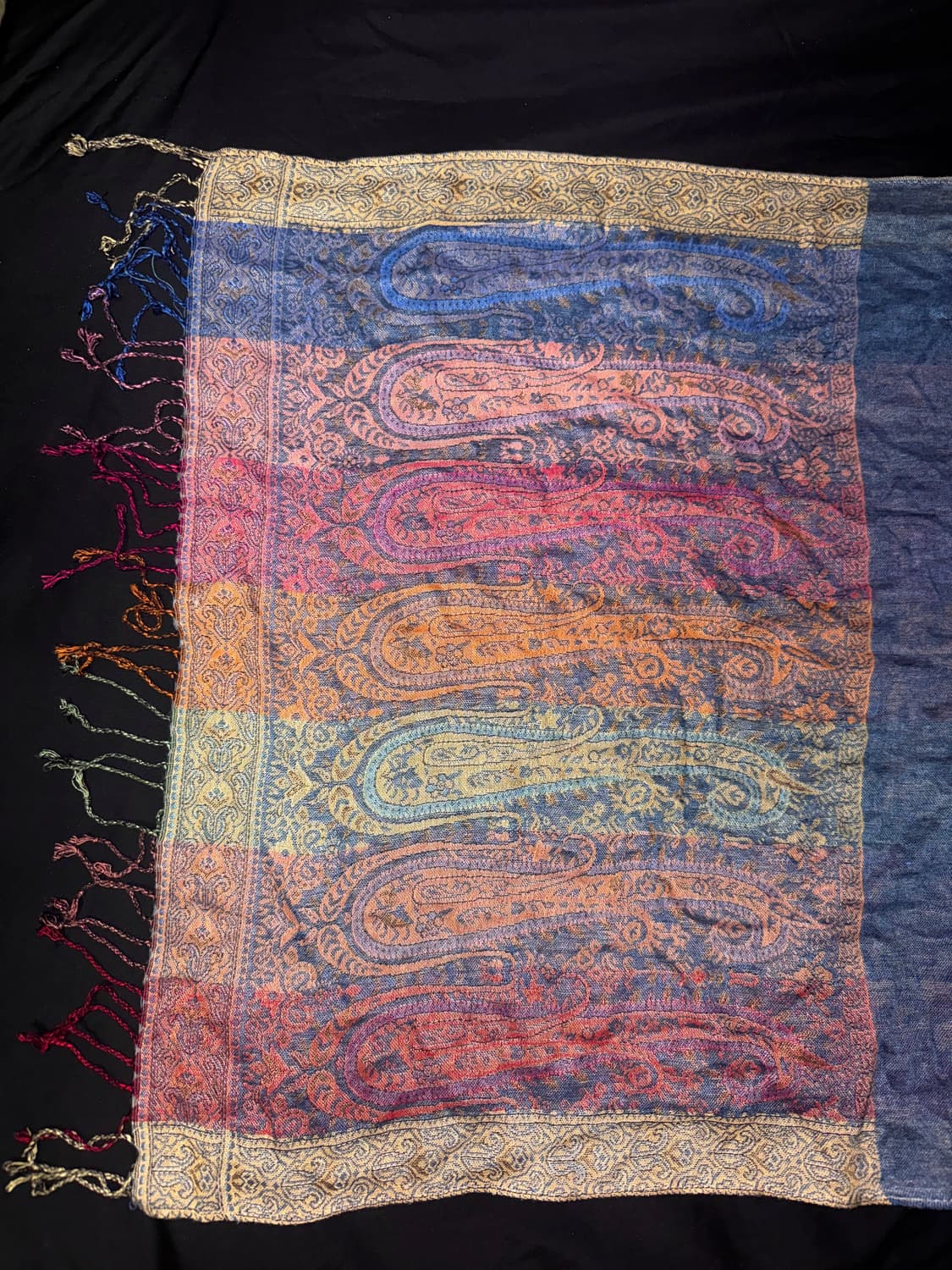 vtg Paisley Pashmina fringe Stole 상품이미지4