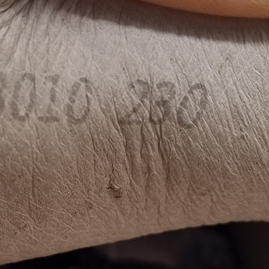 미쉘바이탠디 여성스니커즈235  상품이미지6