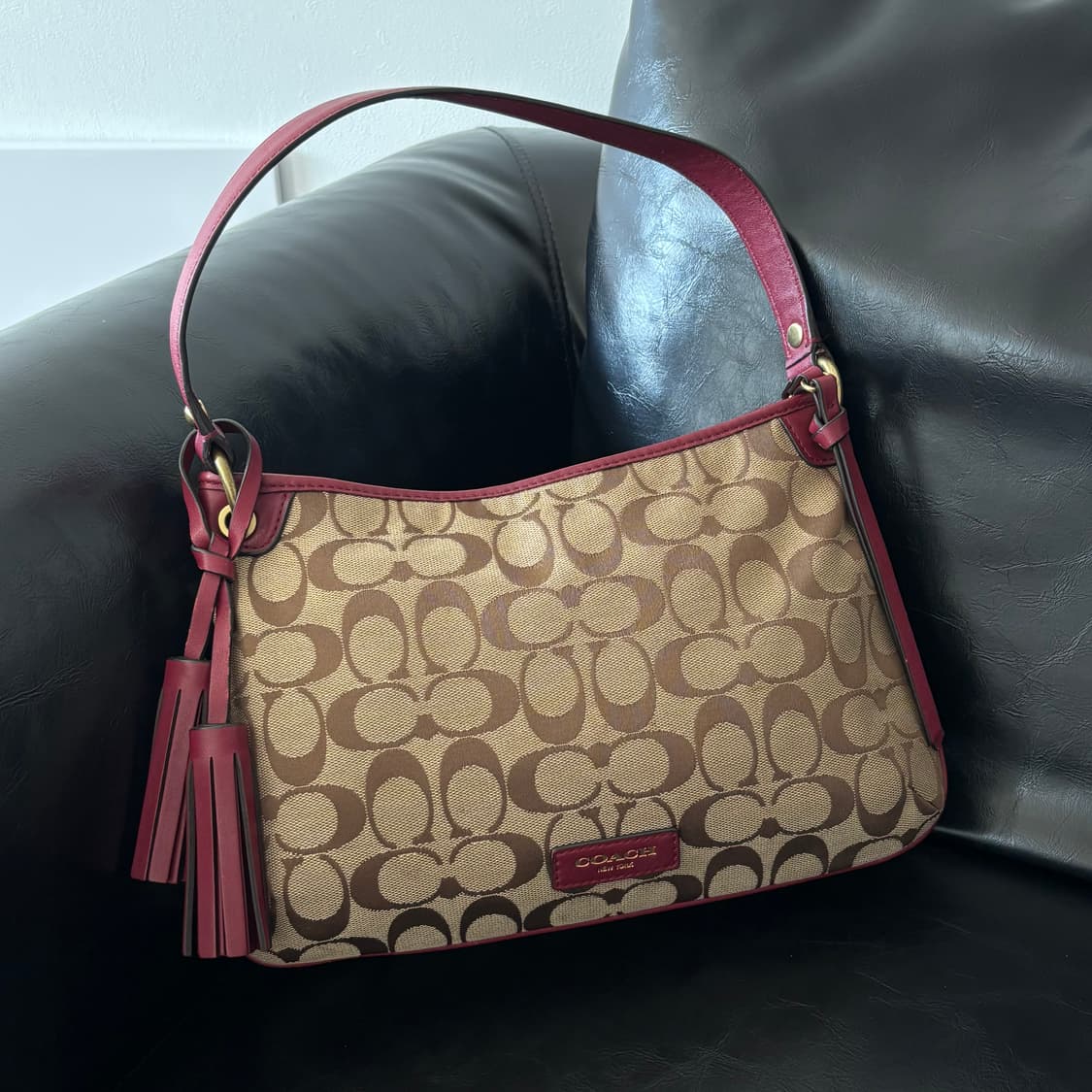 Coach Signature Canvas Hobo 상품이미지2