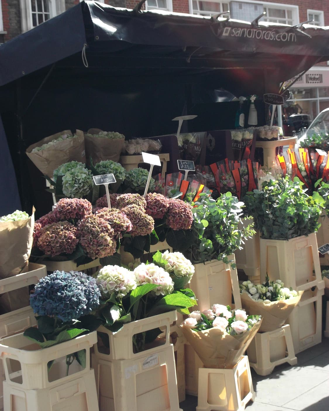 Fujifilm FinePix L55 상품이미지4