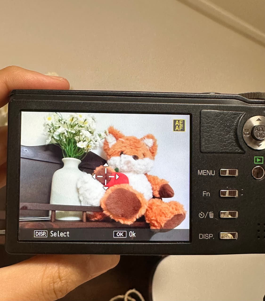 *풀박스* 리코 cx1 디카/디지털카메라 상품이미지3