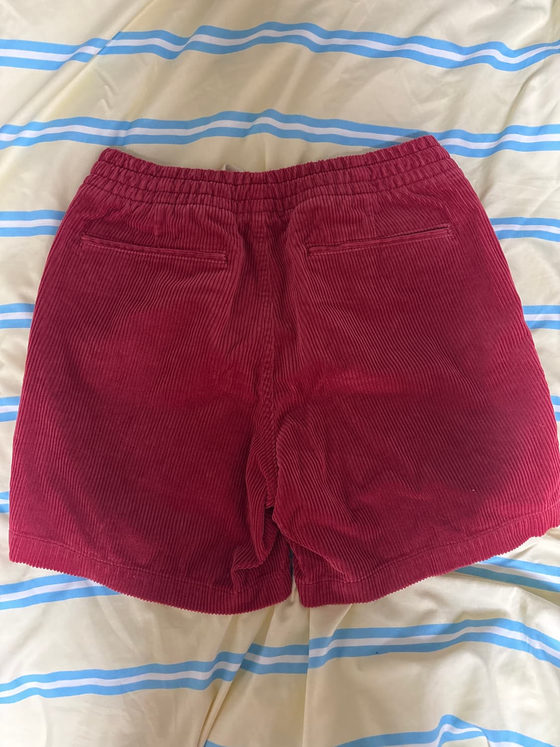 폴로랄프로렌 프렙스터 숏츠 상품이미지3