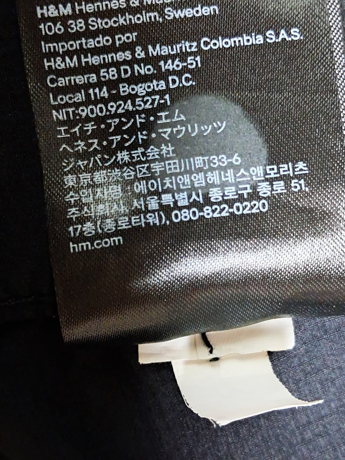 에이치앤엠 카고 조거바지 L 상품이미지10