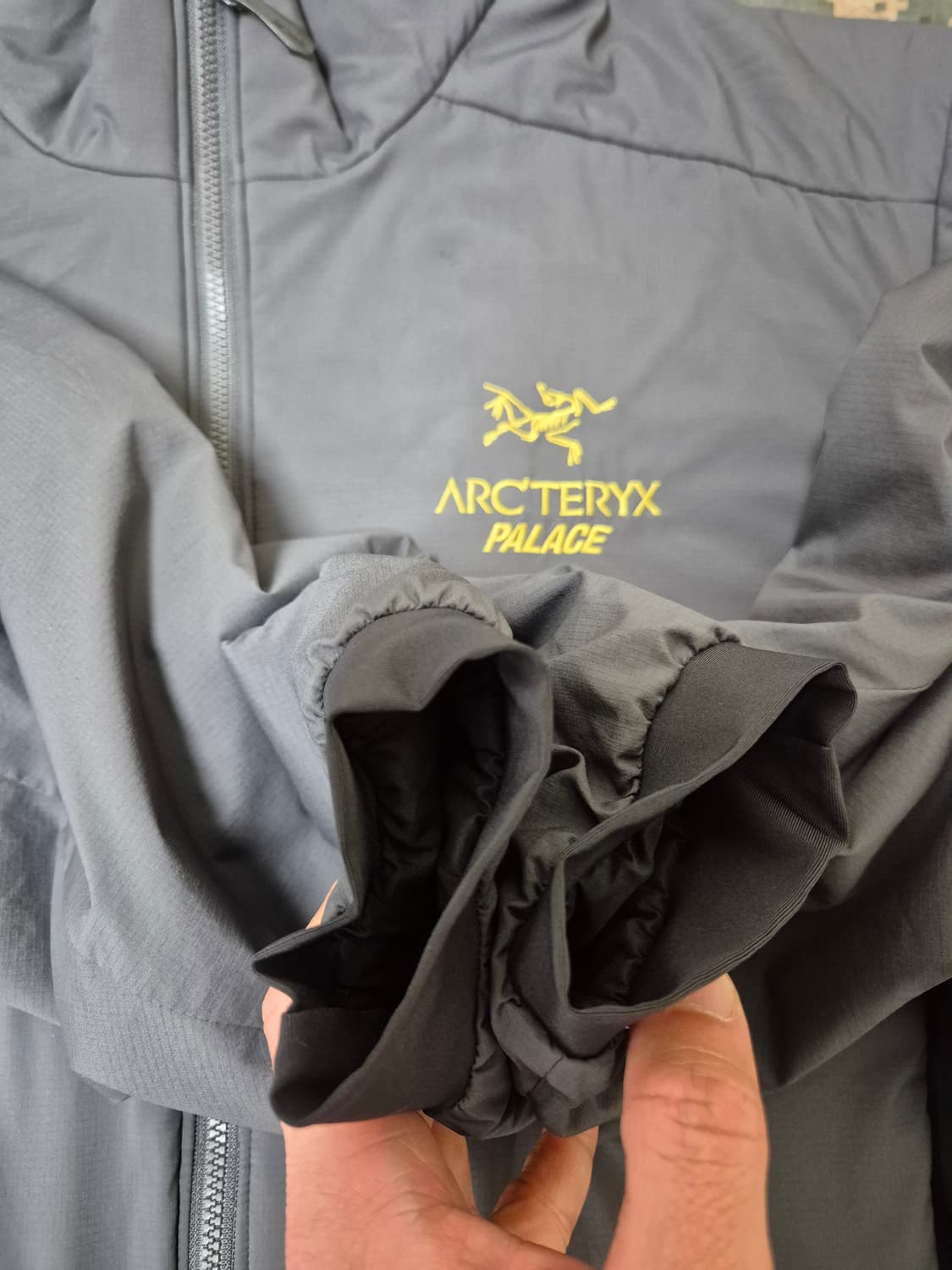 M) 아크테릭스 팔라스 아톰 Lt 자켓 상품이미지9