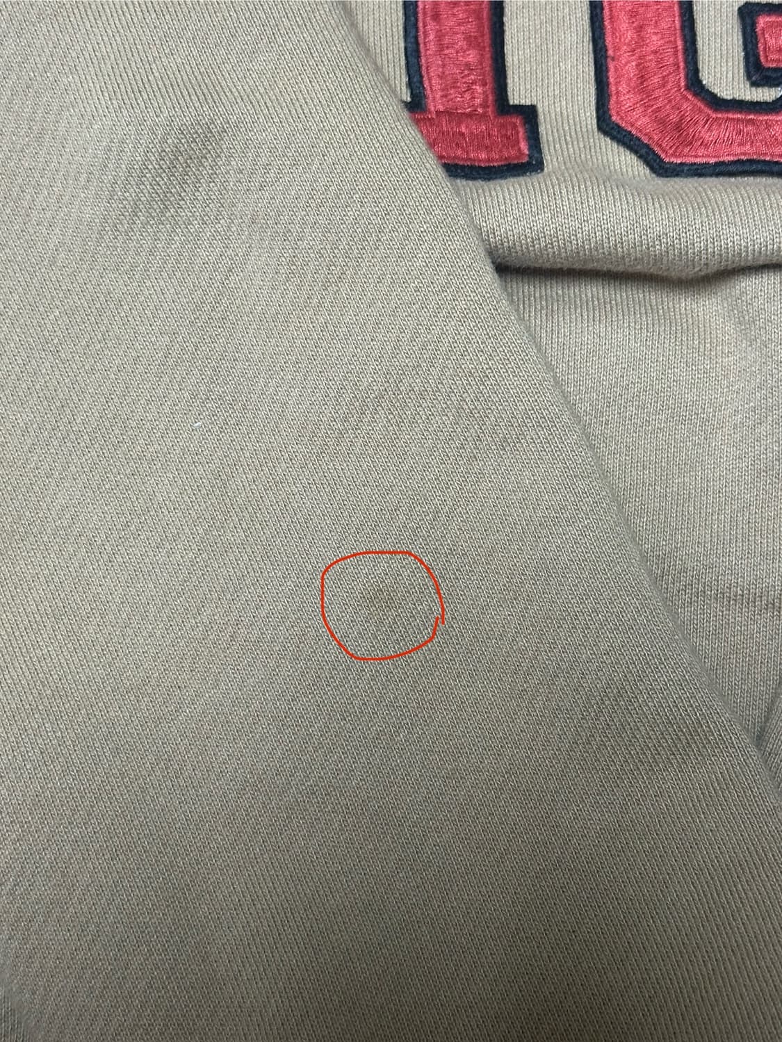 구찌 맨투맨 상품이미지4