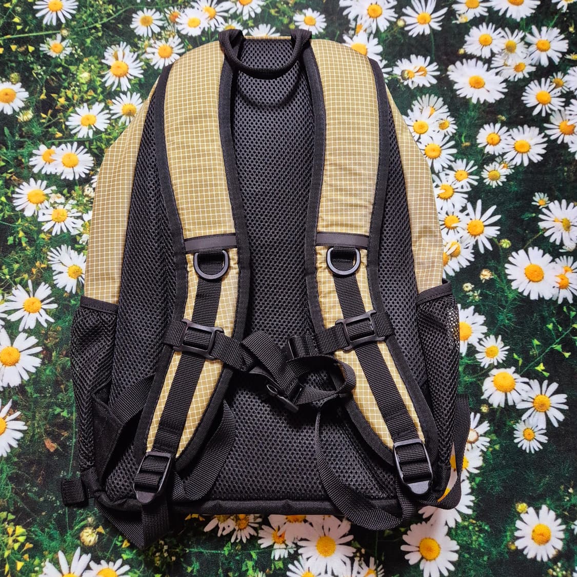 Coleman 콜맨 워커 15L 체크 백팩 상품이미지6