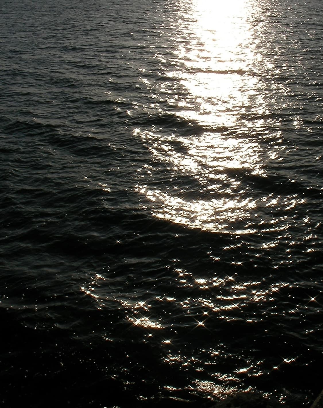 산요작티c5 상품이미지3