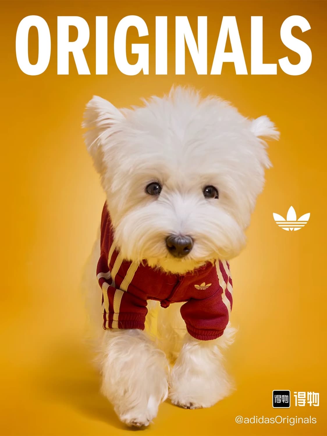 아디다스 강아지 고양이 옷 중티다스 상품이미지1