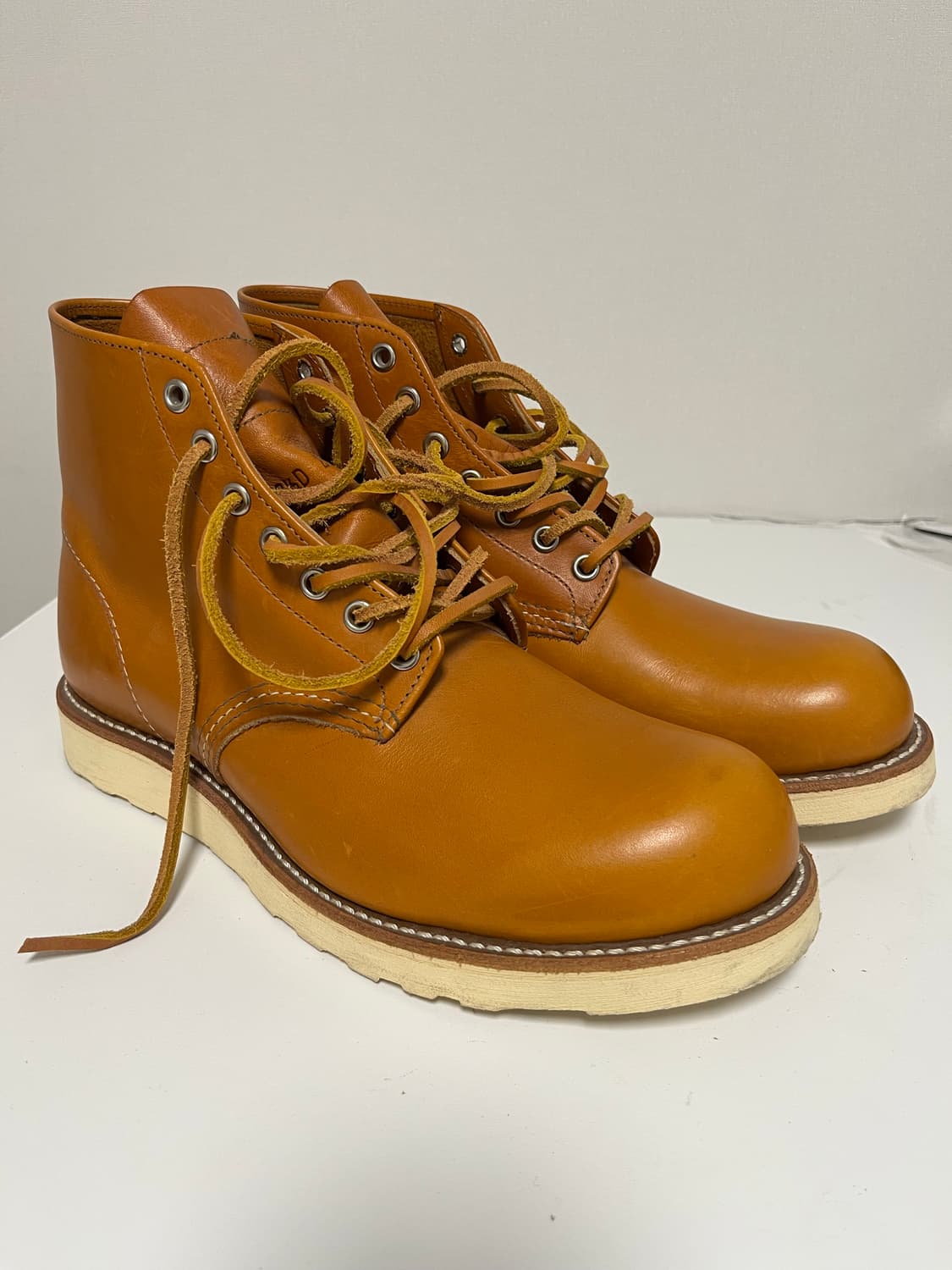 레드윙 9871 아이리쉬세터 265사이즈 판매! 상품이미지1