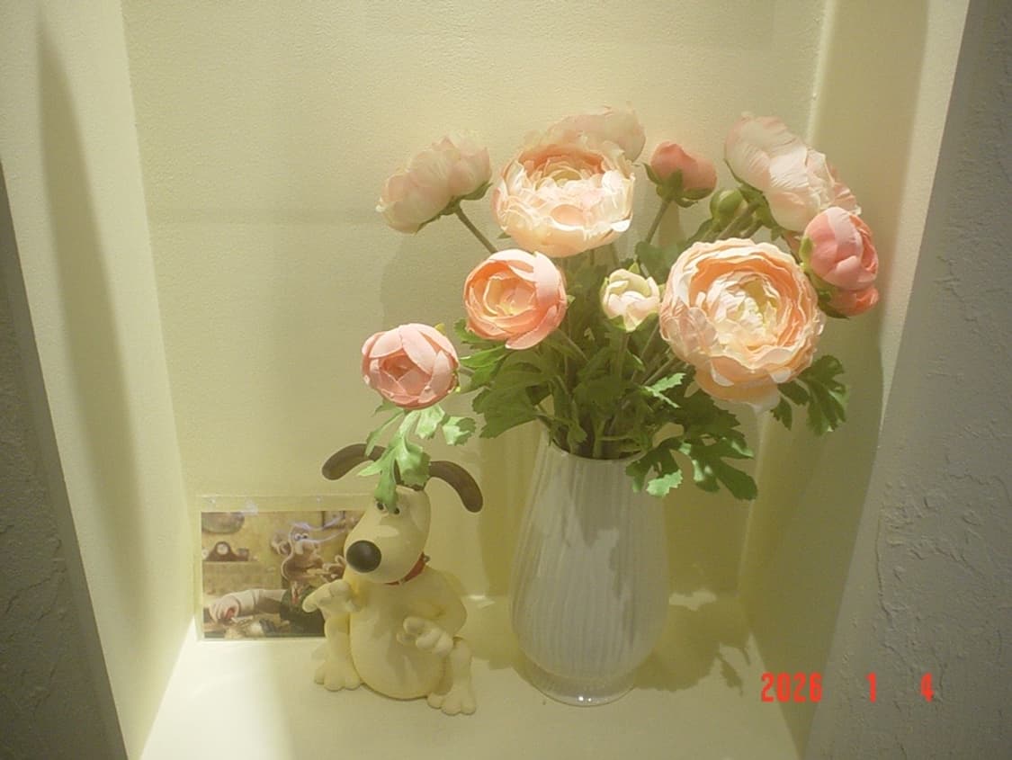 소니 사이버샷 dsc-p31 상품이미지10