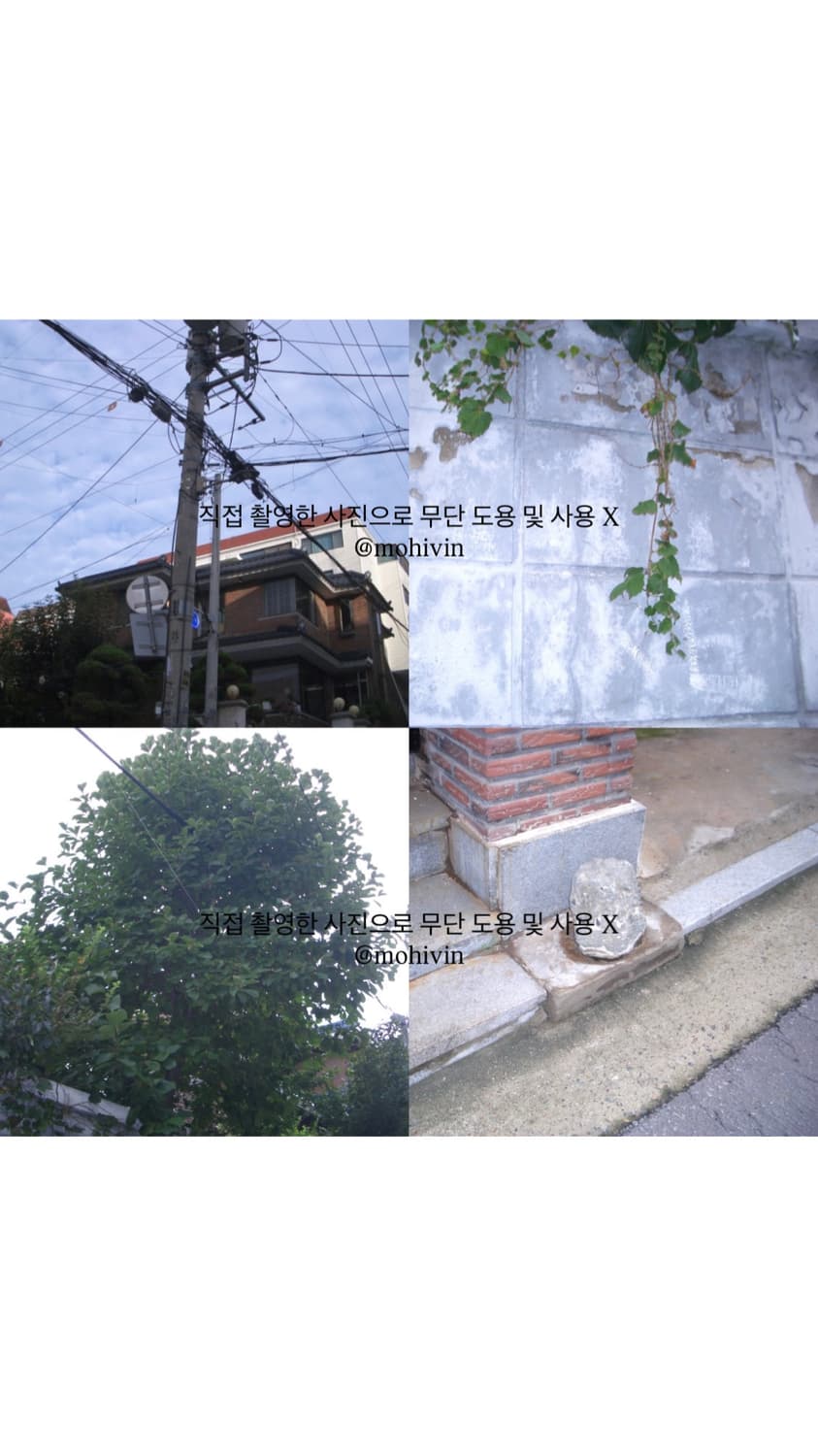 (작례/바로 사용) casio 카시오 엑슬림 z-40 ex-z40 상품이미지3