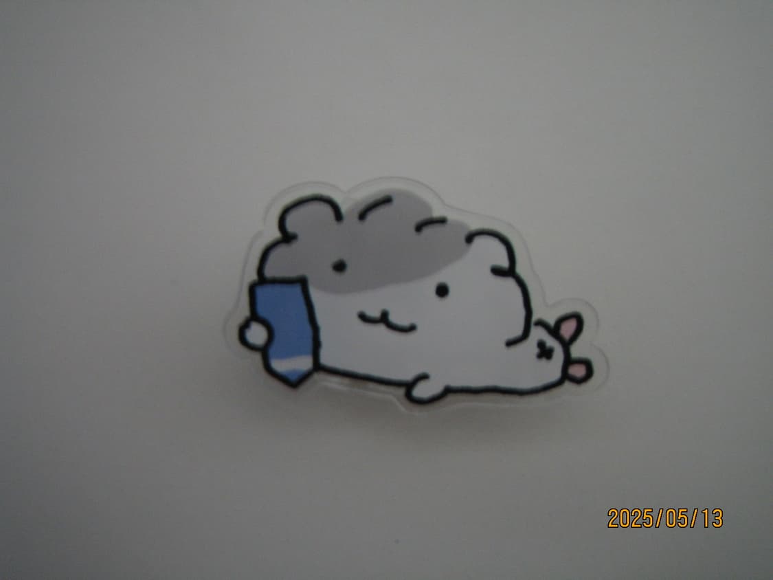 캐논 익서스 IXUS 40 빈티지 디카 상품이미지5