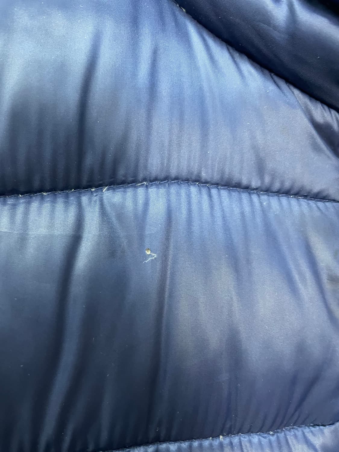 라코스테 블루 로고패치 구스다운 패딩 H1038 상품이미지6