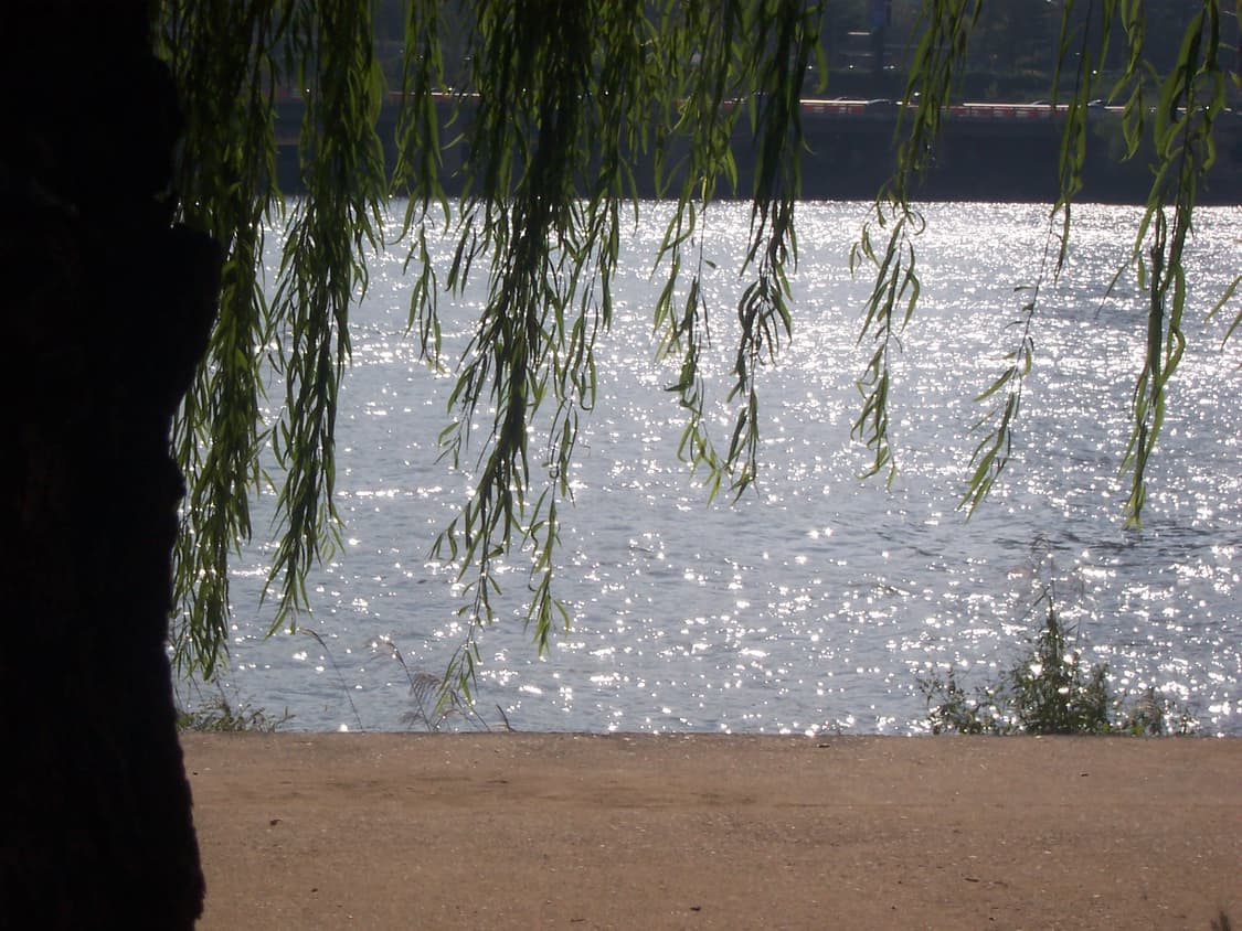 코닥 이지쉐어dx6340 디카 판매 상품이미지3