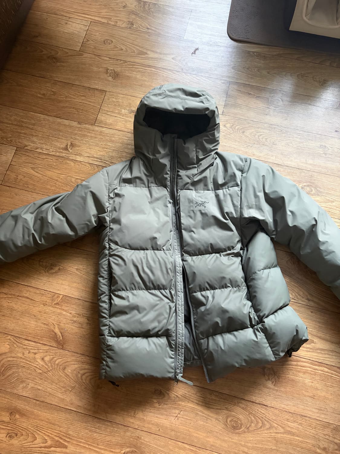 아크테릭스 토륨 sv 후디 포리지 M 상품이미지1