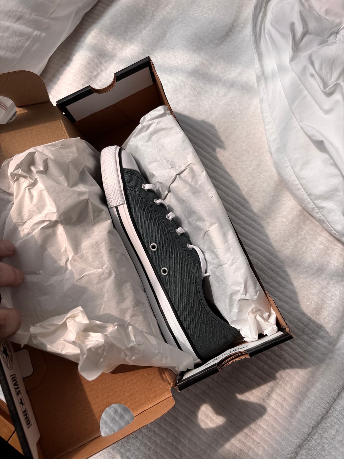 컨버스 올스타 로우 / 데인티 트루 네이처 그린 (230/새제품) 상품이미지7