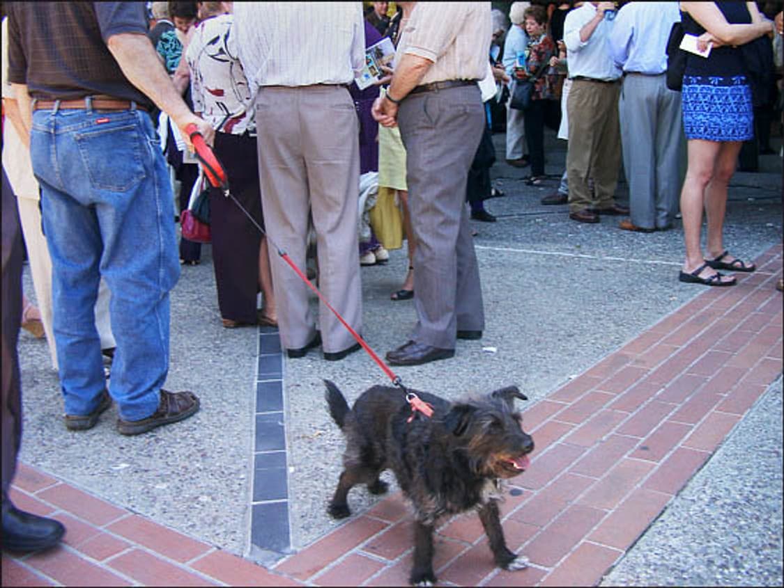 Casio EXILIM EX-Z33 (카시오 엑슬림 EX-Z33) 상품이미지9