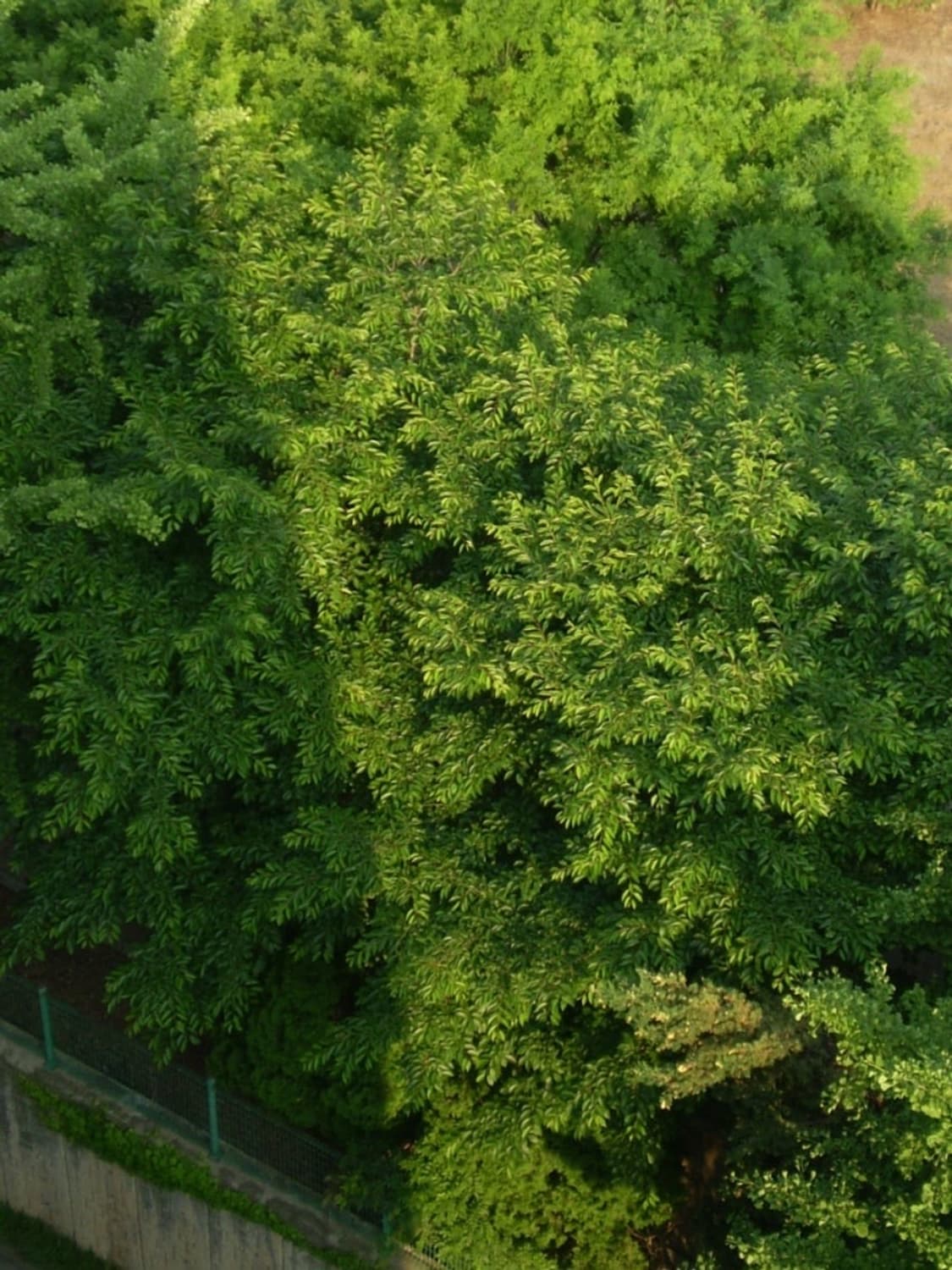 📸 올림푸스 FE-210 디지털카메라 (입문) 작례 o 상품이미지9