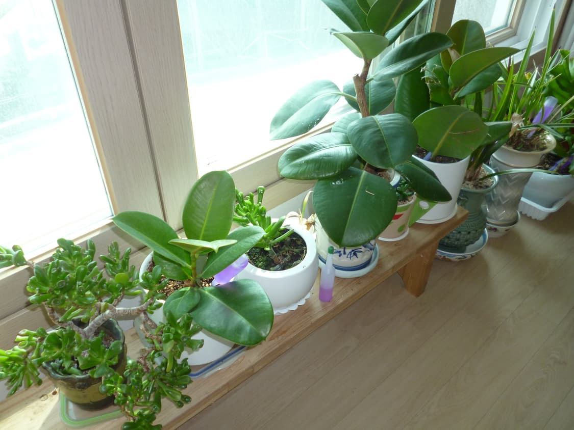 파나소닉 루믹스 s2 / 풀박 / 디카 / 디지털 카메라 / 작례 상품이미지4