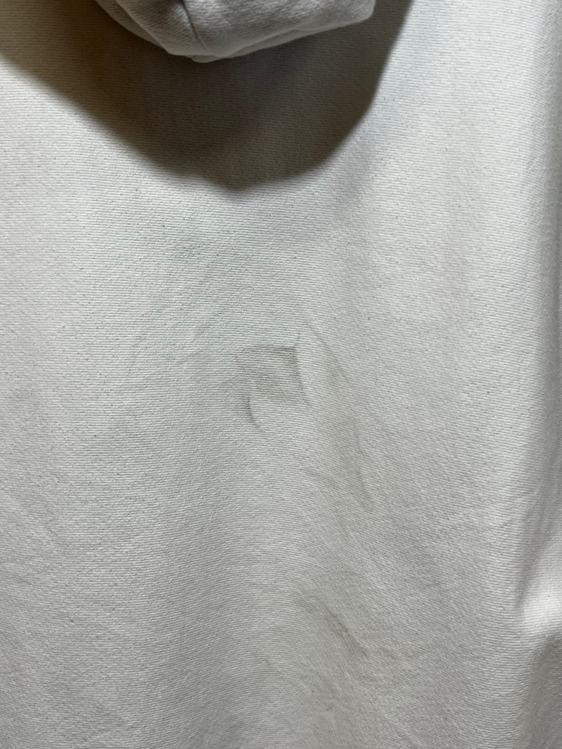 [L] 챔피온 블루택 리버스위드 후드 티셔츠 화이트 상품이미지9