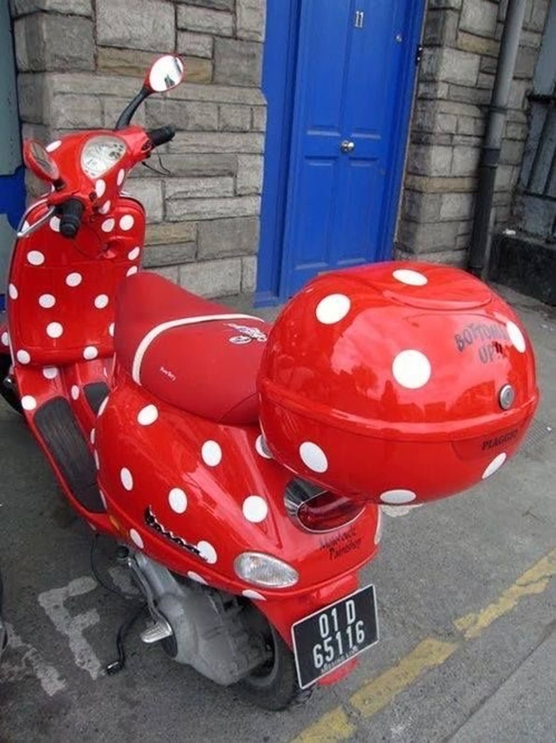 박혜인님 개인결제창 상품이미지1