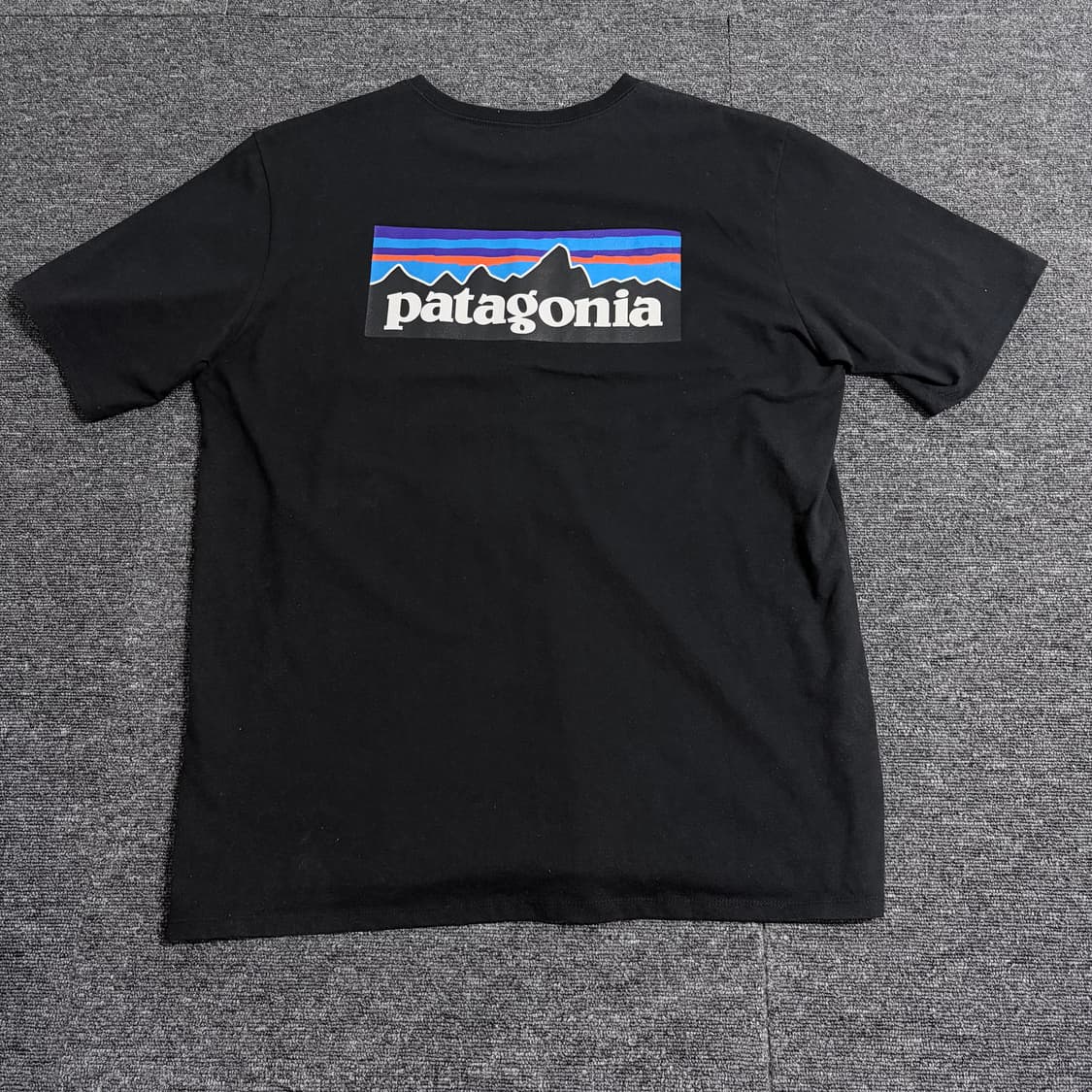 파타고니아 P-6 반팔티 상품이미지5
