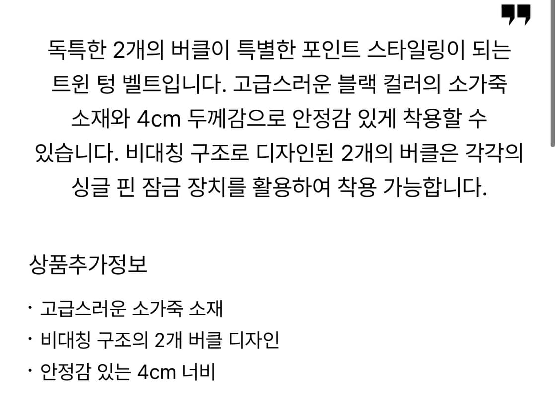 아워레거시25년 신상 트윈텅 벨트 상품이미지8