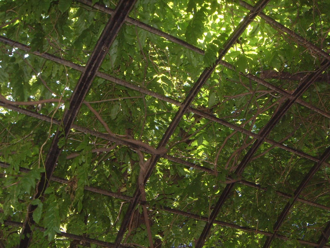 파인픽스 4700z 상품이미지10