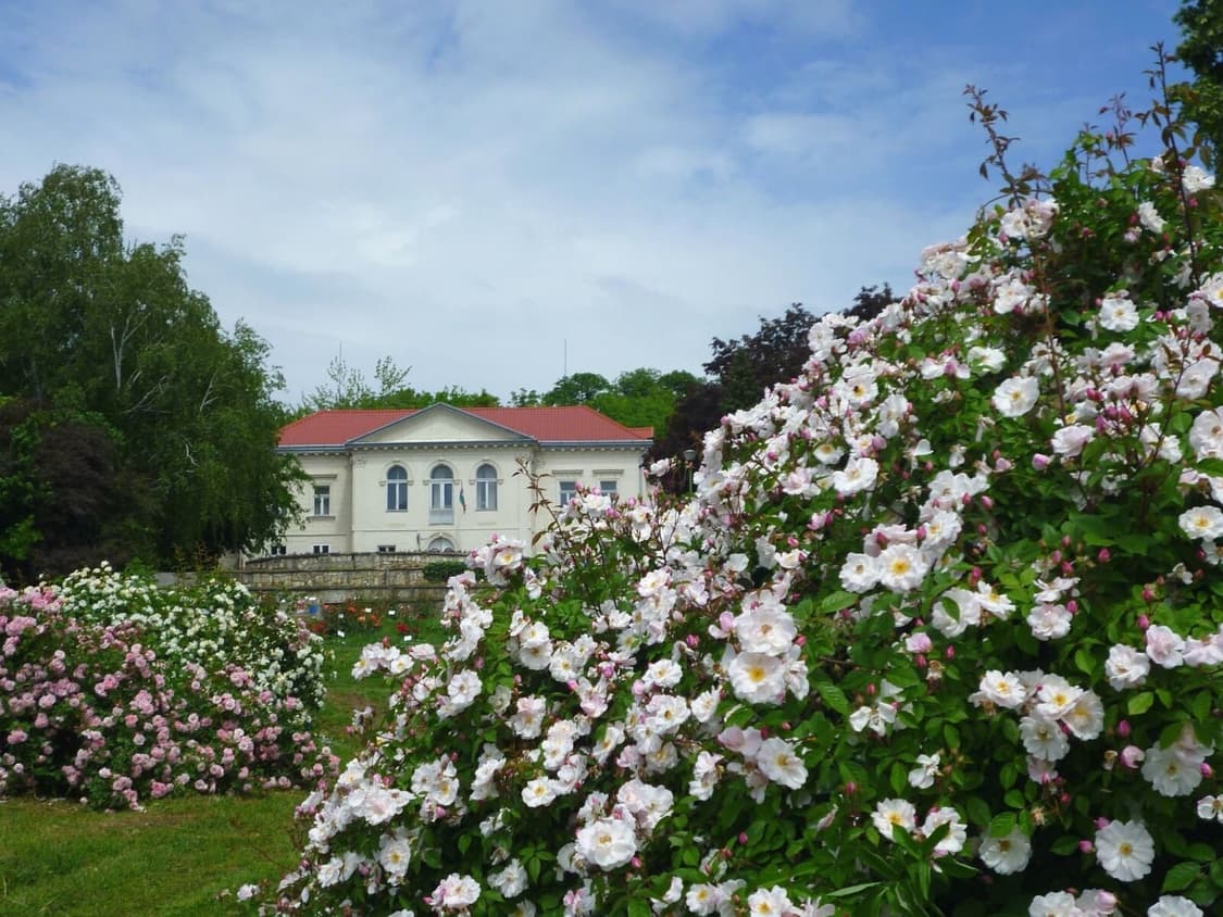 (딸기우유색🍰) 파나소닉 루믹스 DMC-S1 디카 디지털카메라 상품이미지10