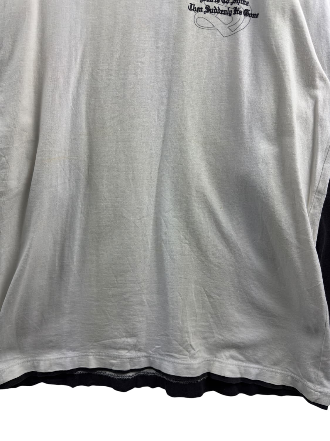 JPN Y2K 레터링 레이어드 롱슬리브1514 상품이미지4