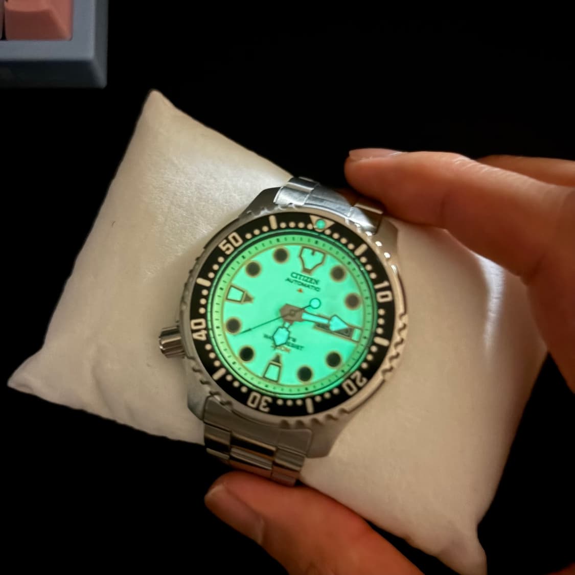 시티즌 프로마스터 복어시리즈 상품이미지1