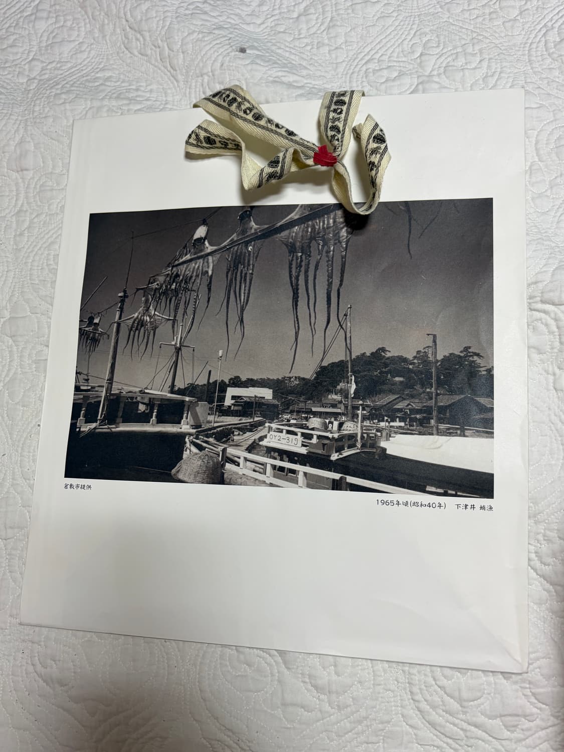 캐피탈 져지 2사이즈 상품이미지4