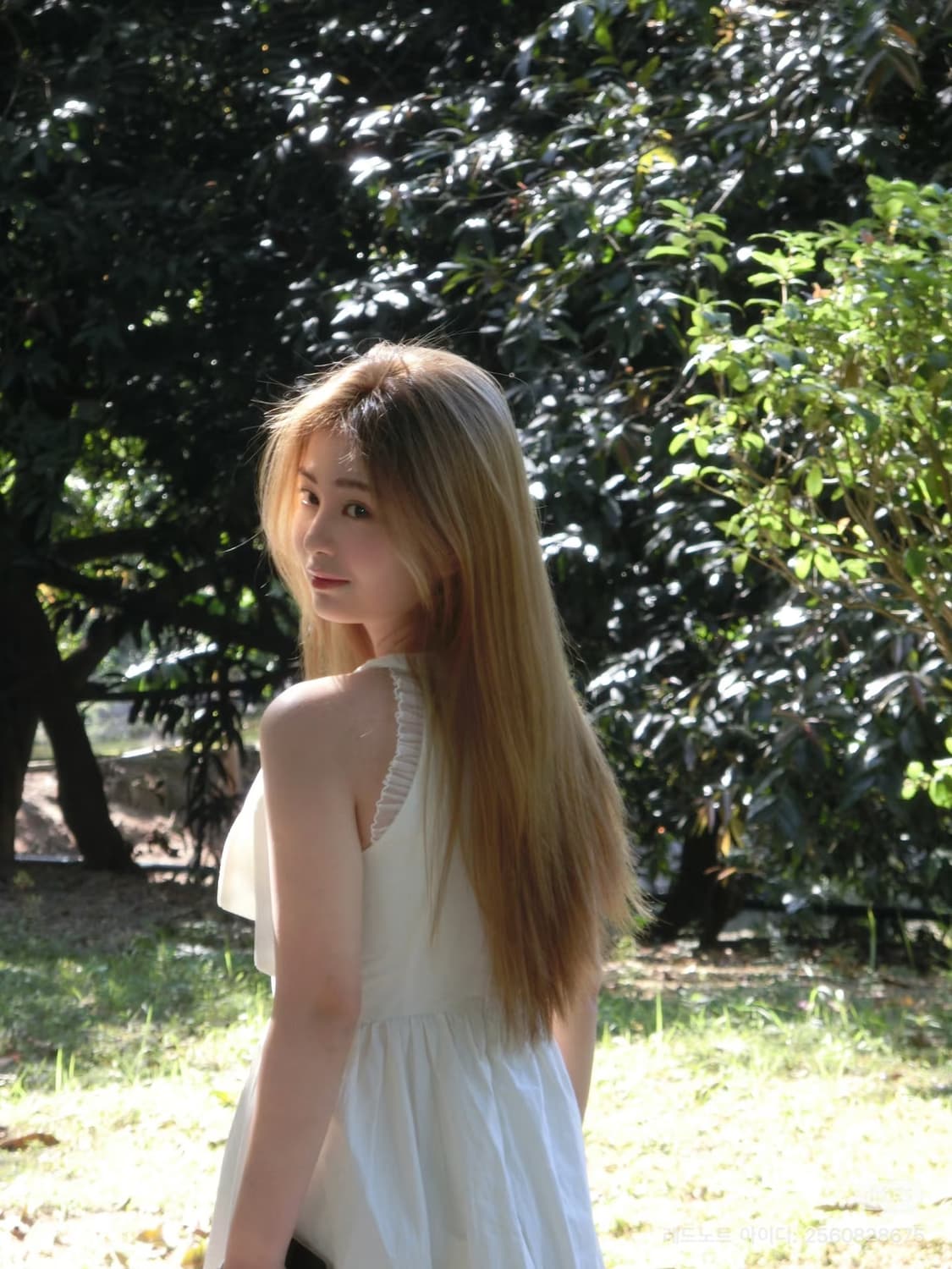 희귀풀셋!) 카시오 엑슬림 zr15 casio exilim 핑크 상품이미지3
